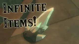 The BEST Item Dupe in Tears of the Kingdom! | BID Tutorial
