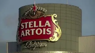 AB InBev foresees better year as lockdowns lift