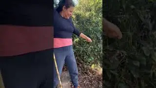 Elas na pesca...
