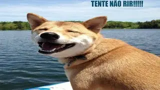 TENTE N&Atilde;O RIR| AtmBr