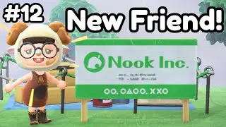 День 12. Я создал остров за 30 дней без Nintendo Online