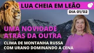 Céu do dia - Domingo 01/02 - Lua Cheia em Leão com Urano: Montanha-russa Emocional!
