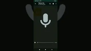 Cara Simpan Audio Di WhatsApp
