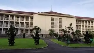 Budidaya ikan wader pari