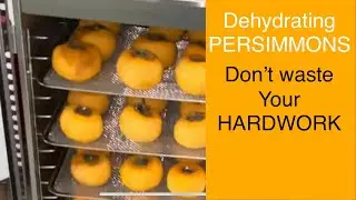 How I enjoy all the FRUIT I harvested- PERSIMMON DEHYDRATION @Myhomegarden-unlimited