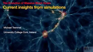 K13 - The Evolution of Massive Black Holes: Current Insights from Simulations