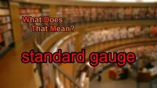 What does standard gauge mean?