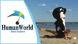 МОРСКОЙ МИР (REMI GAILLARD)