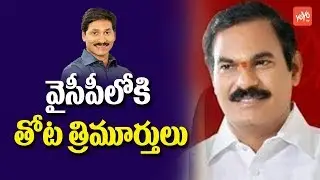 Ramachandrapuram TDP MLA Thota Trimurthulu Joins YSRCP ? | YS Jagan | Chandrababu | YOYO TV Channel