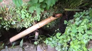 Hertenverjager in de Shisendo tuin in Kyoto