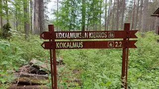 Maastopyöräilyä Hossassa 19.6.2022