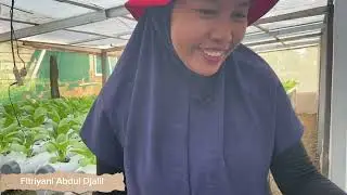 Panen Sayur Pakcoy Masuk Supermarket ‼️ #kebunhidroponik #hidroponik