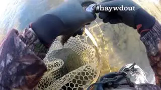 Winter Fly Fishing in Haywood County with Hunter Banks Co.