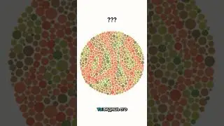 Тест на дальтонизм Ишихара &ndash; Проверь своё зрение и узнай, какое число ты видишь!