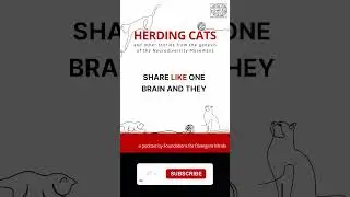 The hivemind of orange cats and humans