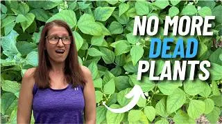 I Stopped Killing Plants Once I Knew THIS