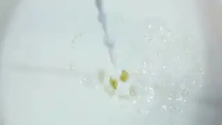 Pouring Milk Stock Video