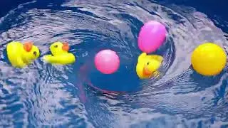 🌊 Whirlpool Relaxing in the Marble🔴⚪🟠🟤🟡, Rainbow, Toys #toys  #car #whirlpool #water