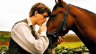 Como Ganhar a Confiança do seu Cavalo