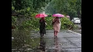 IMD forecasts heavy to very heavy rainfall for Kerala, Andaman & Nicobar Islands and Tamilnadu