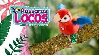 Happy Yappers in Portuguese are P&aacute;ssaros Locos #happyyappers #concentra #portugal