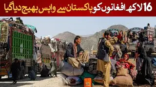 ⚠️ Pakistan Deports 1.6 Million Afghans &mdash; The Largest Repatriation in History! | Rich Pakistan