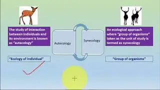 AUTECOLOGY SYNECLOGY & Levels of organisation