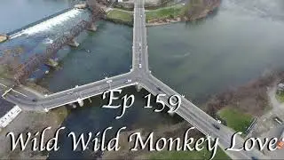 Ep 159 - Wild Wild Monkey Love
