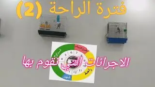 مرحلة الراحة (2) ... # إجابة على أسإلة مهمة ( تجهيز ذكر يلقح عدة اناث + تجهيز انثى تقبل كل الذكور)