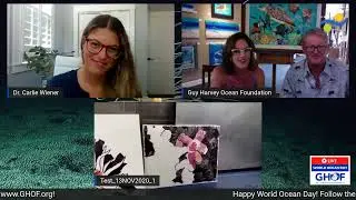 World Oceans Day Livestream with Schmidt Ocean Institute & Guy Harvey - Facebook Live