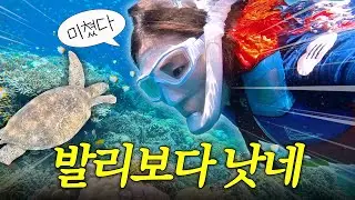 발리 취소하고 여기 가세요.. 한국인 1%도 모르는 역대급 바다 (마나도 부나켄편)