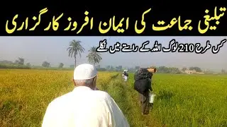 Tableghi Jammat Ki Emaan Afroz Karguzari | Tableghi Jammat Ki Karguzari 
