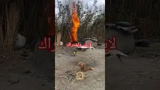 #يبعدالعافيه #funny #اكسبلور @QuantumTech @S7S @shorts-gq1gs
