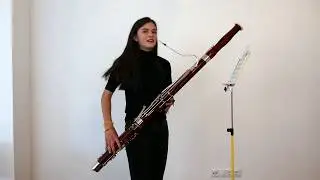 Fagott - digitale Vorstellung