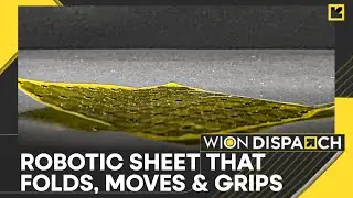 Soft Robot Developed By South Korea Researchers | WION Dispatch