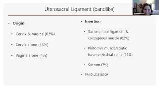 Uterosacral Ligament Origin Insertion