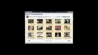 Viral Video Curator Pro Review And Over $500 Worth In Bonuses!
