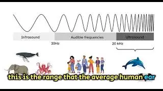 infrasonic and ultrasonic waves | physics | advantages and disadvantages #science #seismic  #physics