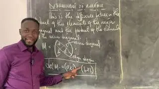 Matrices | Determinant of a matrix and Worked Out Examples. 