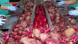 🏭Beetroot Juice &ndash; Export-Standard OEM/ODM Production for Your Private Label🚀