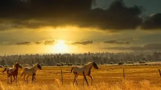 Sunriver Stables at Sunriver Resort