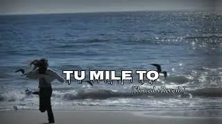 TU MILE TO | Slowed +Reverb | Lofi Song #lofi #trending #music