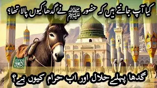 Why Allah Created Donkey? || Huzoor saw ne gadha kion pala? || Afshan's Voice
