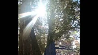 Open Source Religion: Zen Master Huineng of China