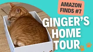 #7 AmazonFinds  Ginger&rsquo;s Home Tour: Cat Zones, Favorite Spots & New Essentials!