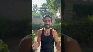 Dogs vs cats after running away from home. #shorts #skit #funny