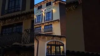 Краса посеред сірих будівель 💫 #ukraine #christmas #odesa #україна #одеса #різдво #shorts