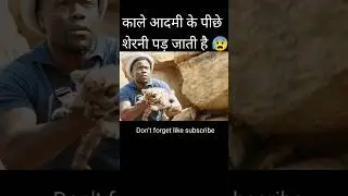 काले आदमी के पीछे शेरनी पड़ जाती है #movie #explained #hindi #shorts