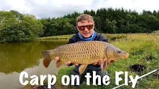 Carp on the Fly at Laois Angling Centre