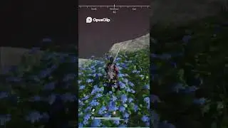 Epic Boss Fight in Blue Flower Field! ⚔️🌸